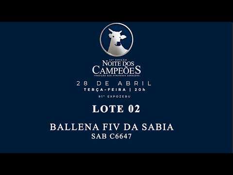 LOTE 02    BALLENA FIV DA SABIA SAB C6647