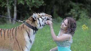Фотосессия с тигрицей Шанель