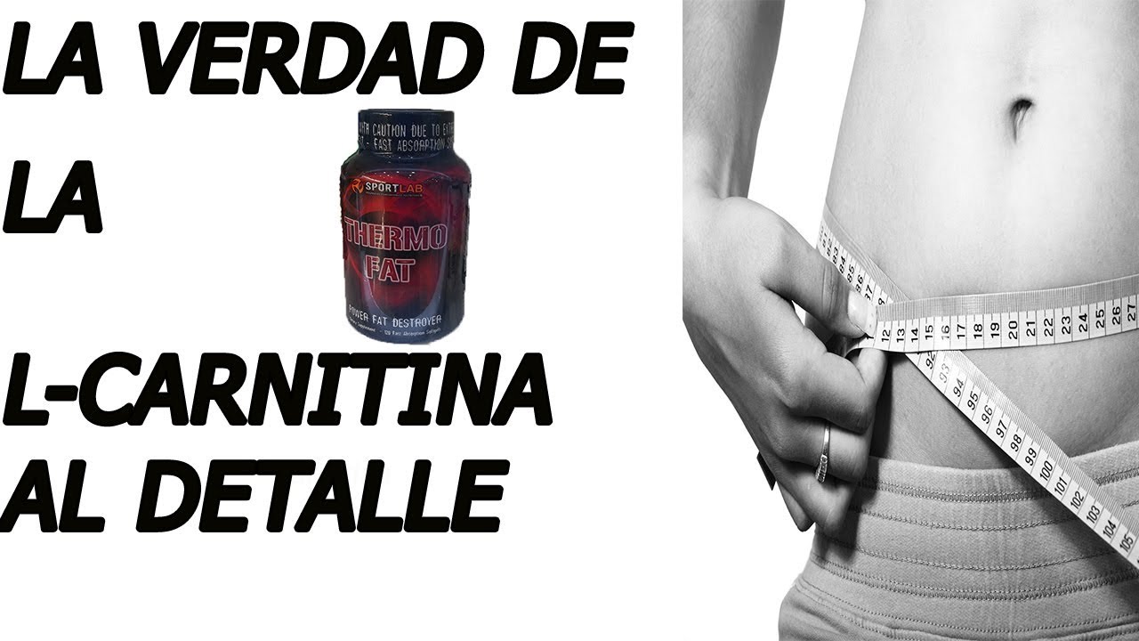 fitland L-CARNITINA, TODA LA VERDAD AL DETALLE, ¿FUNCIONA COMO QUEMAGRASA? ESTUDIOS CIENTIFICOS