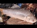 Big Rohu Fish Cutting &amp; Chopping By Expert Fish Cutter | Amazing Fish Cutting Skills