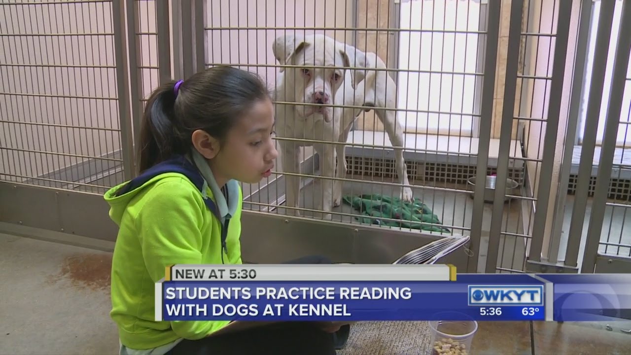 Woodford County students get shelter dogs' tails wagging by reading ...