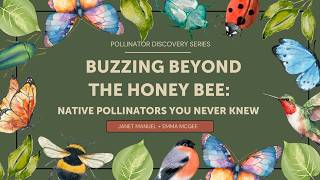 Buzzing Beyond the Honeybee: Native Pollinators You Never Knew