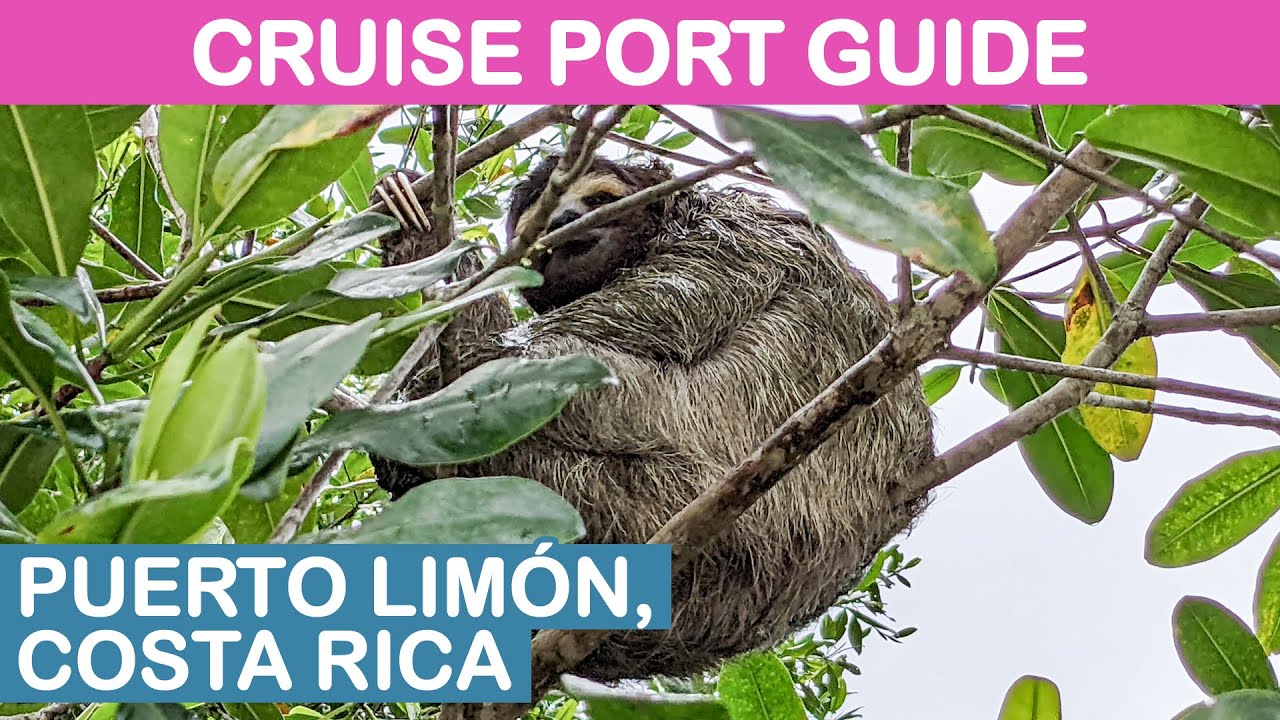 Puerto Limón, Costa Rica Cruise Port Guide: 