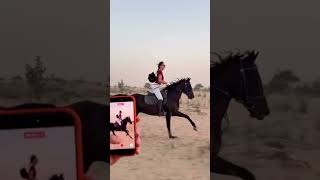 #viral #horse #youtube #equestrian #youtubeshorts #horsegirl#travel#gaming #beautiful#bgmi#yt