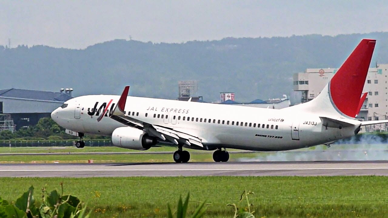 【通常塗装】JAL 日本航空 737-800 JA317J 通常塗装】JAL 日本航空 737-800 JA317J - メルカリ