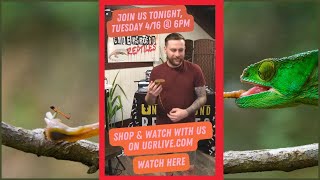 Underground Live: Terrific Tuesday Reptiles!