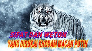 sifat danweton yang disukai khodam macan putih - karakter orang yang disukai khodam macan putih