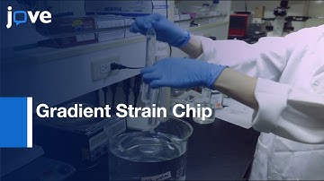 Gradient Strain Chip For Stimulating Cellular Behaviors In Cell-Laden Hydrogel l Protocol Preview