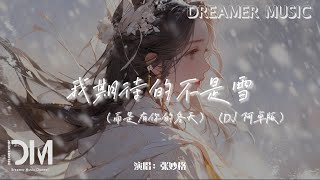 我期待的不是雪（而是有妳的冬天）（DJ 阿卓版）- 張妙格『我期待的不是雪，而是有妳的冬天』【動態歌詞】