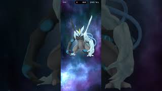 Lucky Kyurem Fusion With Shiny Zekrom 😀