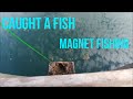 I Caught a Fish Magnet Fishing!