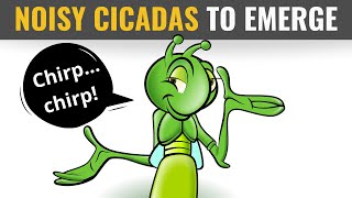 Millions of Noisy Cicadas to Emerge from the U.S. Soil after 17 Years | Enigmatic Cicada (2020)