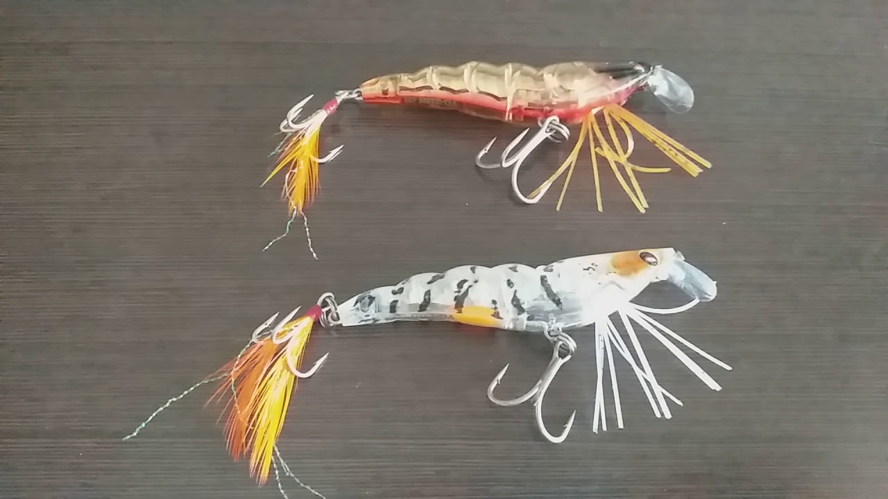 Naturaleza cristiano Fortalecer señuelo camaron yo zuri shrimp pesca de róbalo en manglares - YouTube