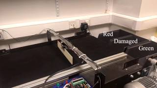 Low Cost Machine Vision Fruit Sorter - Final Year Project EXPO Demo