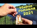 Убийца ГОЛАВЛЯ 2021 года. Река Западная Двина