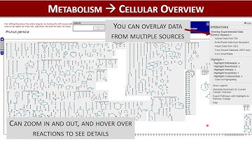 How to Use PathwayCyc in GDR
