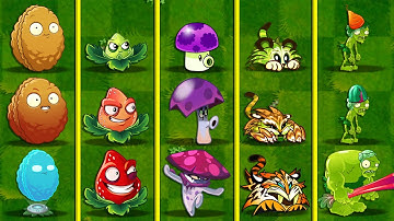 All Plants Have Same Shape & Skill Evolution NOOB - PRO - HACKER version - PvZ 2 Discovery