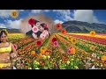 Mali #gaya#video # to mali# jia gaya