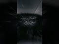 ١٤ شباط، ٢٠٢٥
