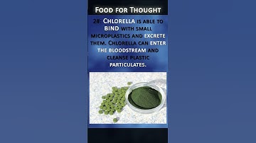 Remove Microplastics From the Body