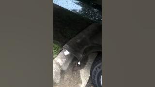 10465162 10152481904556718 1994698002 n