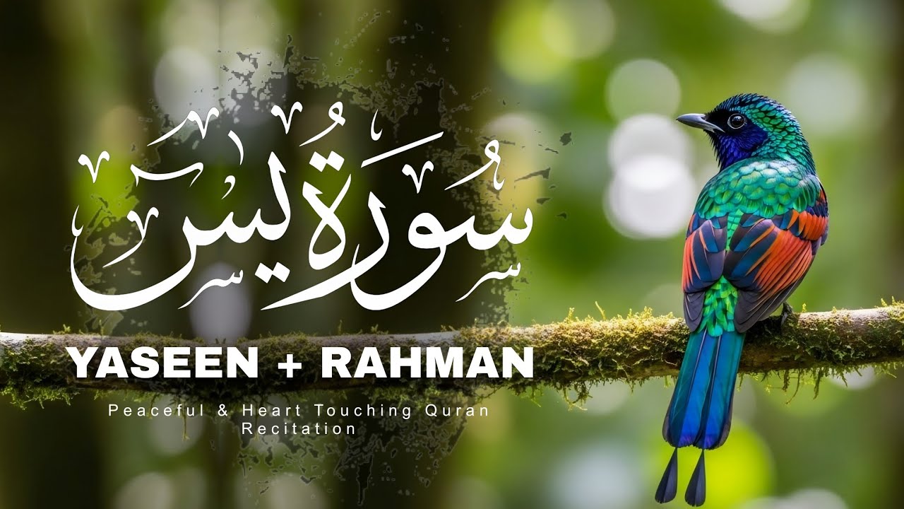 Surah Yaseen With Surah Rahman | Peaceful & Beautiful Quran Tilawat (سورة ياسين) [Ep-2]