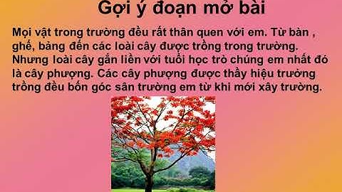 K4  Tuan 25  TLV  LUYỆN TẬP XÂY DỰNG MỞ BÀI TRONG BÀI VĂN MIÊU TẢ CÂY CỐI