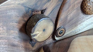 Electric acoustic baritone ukulele. Plugged in video/demo. #baritoneukulele #electricukulele 