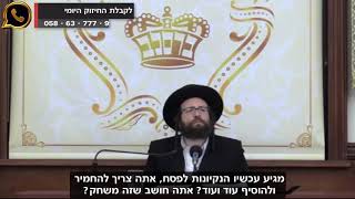 פסח זה חג יפה! | הרב יואל ראטה שליט"א