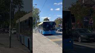 Scania Co Bolt Hess Nüa