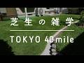 新曲 東京40まいる 芝生づくりはアドベンチャー