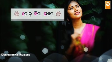 New Sambalpuri Status Video || Bachpan Ka Pyar Status Sambalpuri || Human Sagar ||  Original Jugal