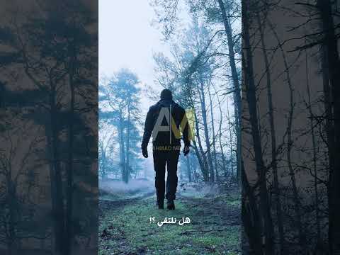 هل نلتقي اناشيد انشودة