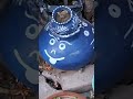 DIY west out of the best#plants#gardeningideas#ytshorts