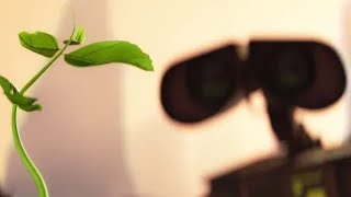 WALL-E director Andrew Stanton in '08: I wasn't 'pushing an ecological message'