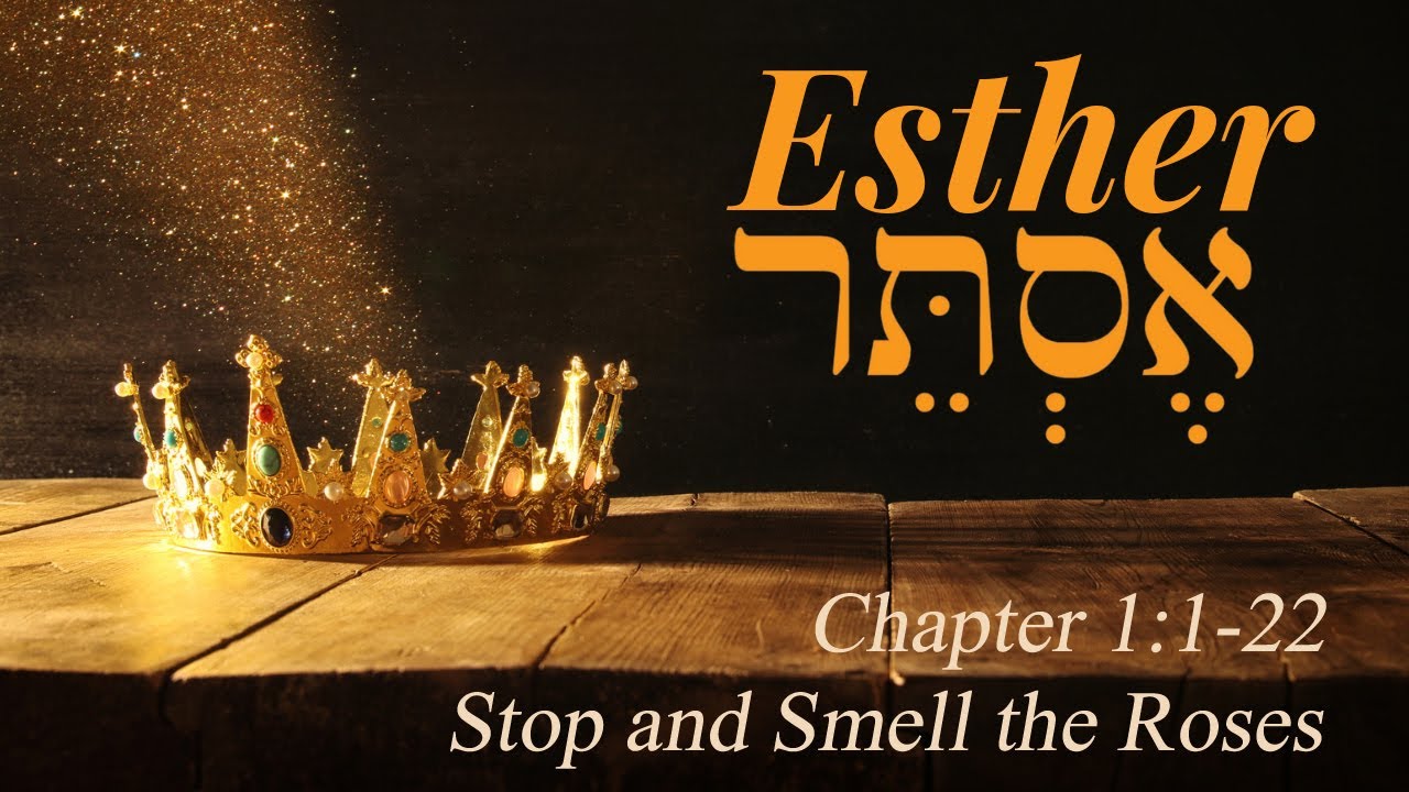 Stop and Smell the Roses YouTube