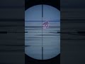 My First Diamond | theHunter: Call of the Wild