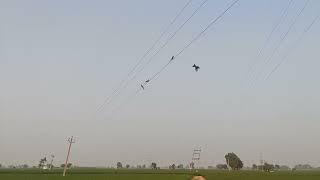 VID 20200723 181748