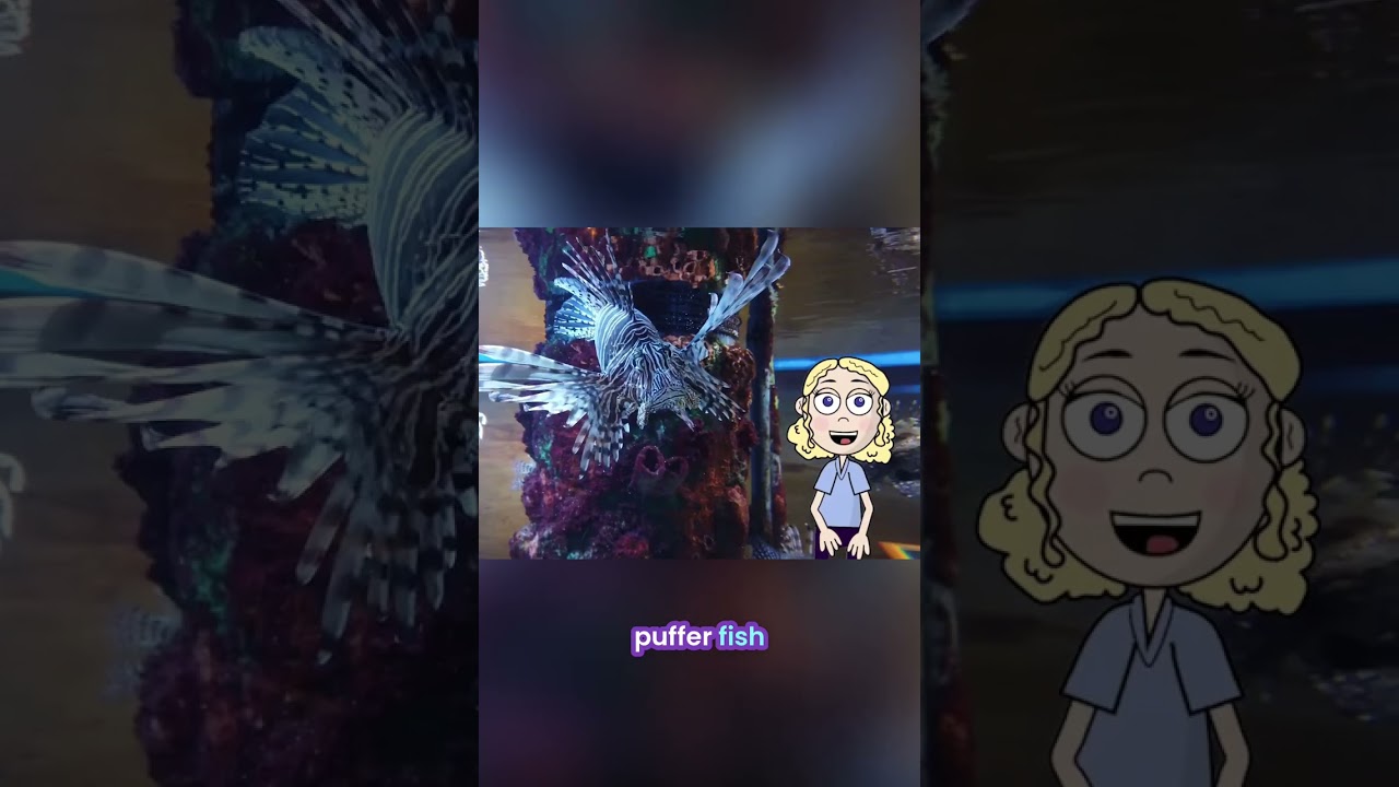 How Math Makes the Aquarium Possible #shorts