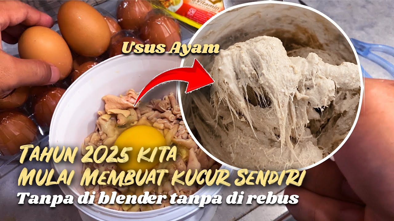 Membuat KUCUR dari USUS AYAM tanpa blender tanpa di rebus. Lebih mantap baunya!!!