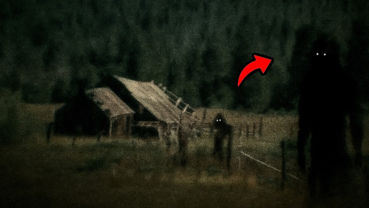 10 GRUSELIGE Videos, die VERSTÖRENDES auf Kamera zeigen!