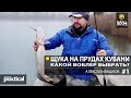 Щука на прудах Кубани. Какой выбрать воблер? Часть 1. А. Ивашков Anglers Practical