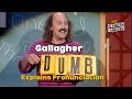 Gallagher explains pronunciation  the new smothers brothers comedy hour