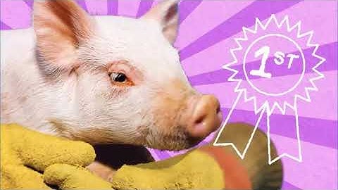 HMH Curious Video: Community