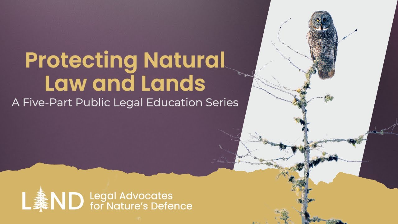 Protecting Natural Law and Lands: A 5-Part Public Legal Education Series