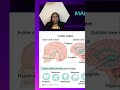 Unlock Social Cues: Understand People & Emotions #shorts