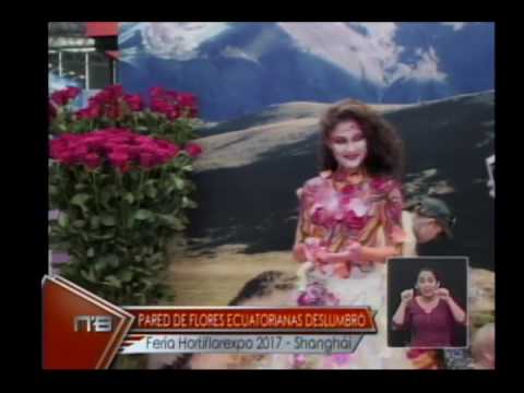 PARED DE FLORES ECUATORIANA EN FERIA HORTIFLOREXPO 2017