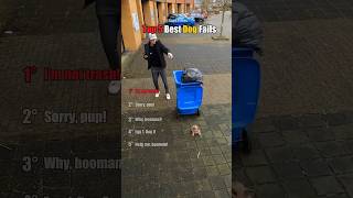 Top 5 Best Dog Fails🥺