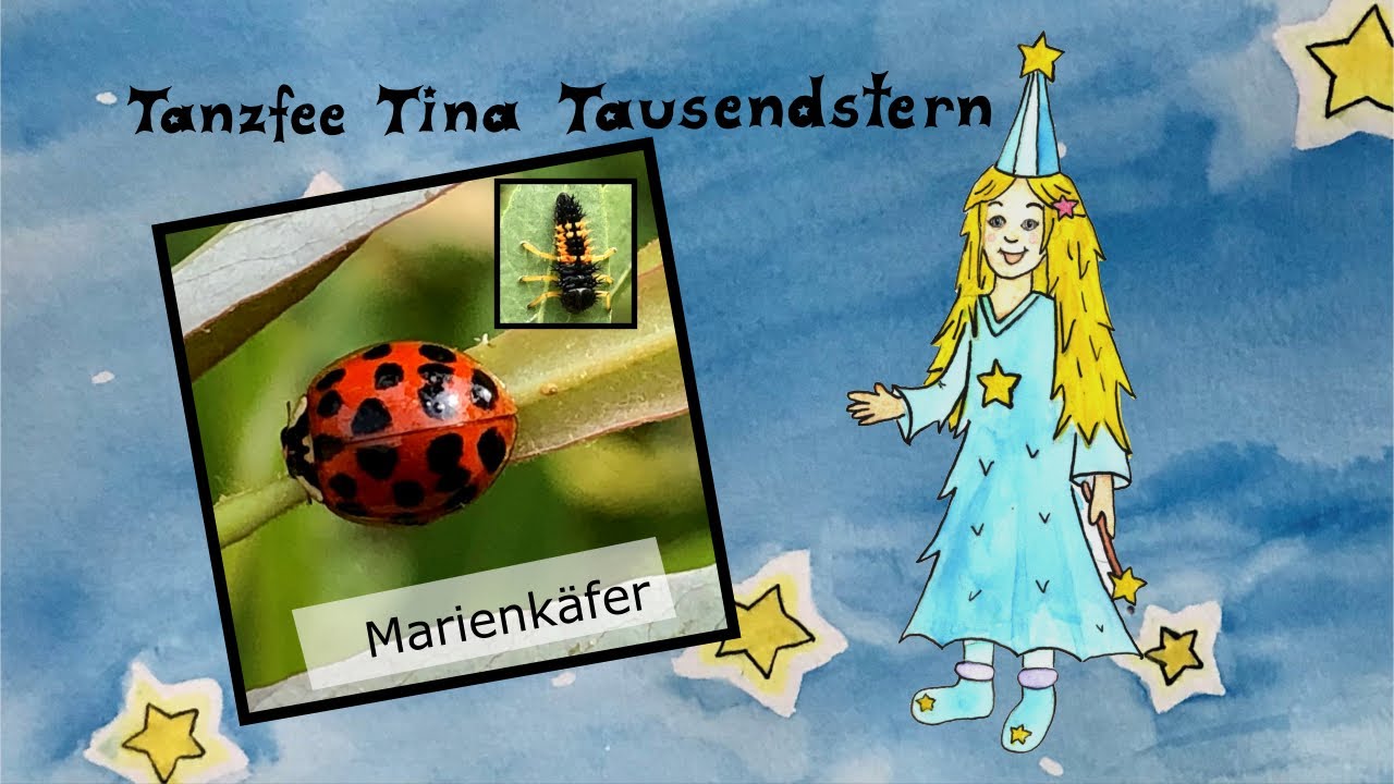  Marienkäfer - Wissen für Kinder - YouTube 