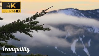 💤Tranquility | The Himalayas | Sleep, Study and Relax | 1 Hour of High Quality Ambience screenshot 4